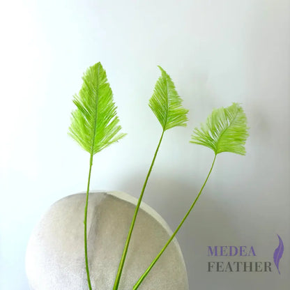 Trimmed Ostrich Feather-Pack of 3