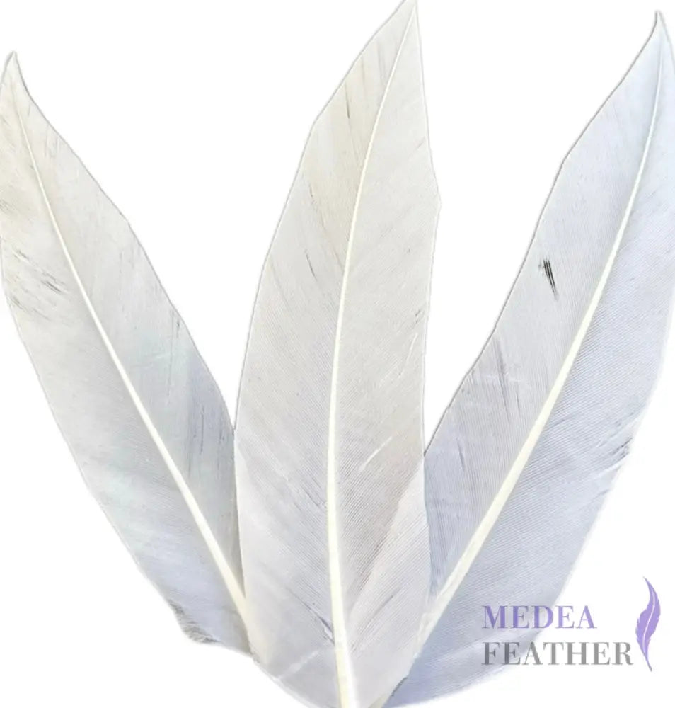 Trimmed Oval-shaped Goose Feather-Pack of 20 SFGOOSE07 - #02 white