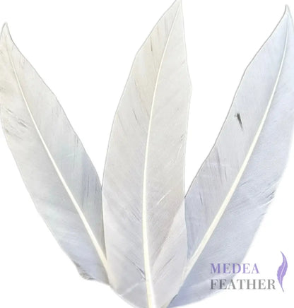 Trimmed Oval-shaped Goose Feather-Pack of 20 SFGOOSE07 - #02 white