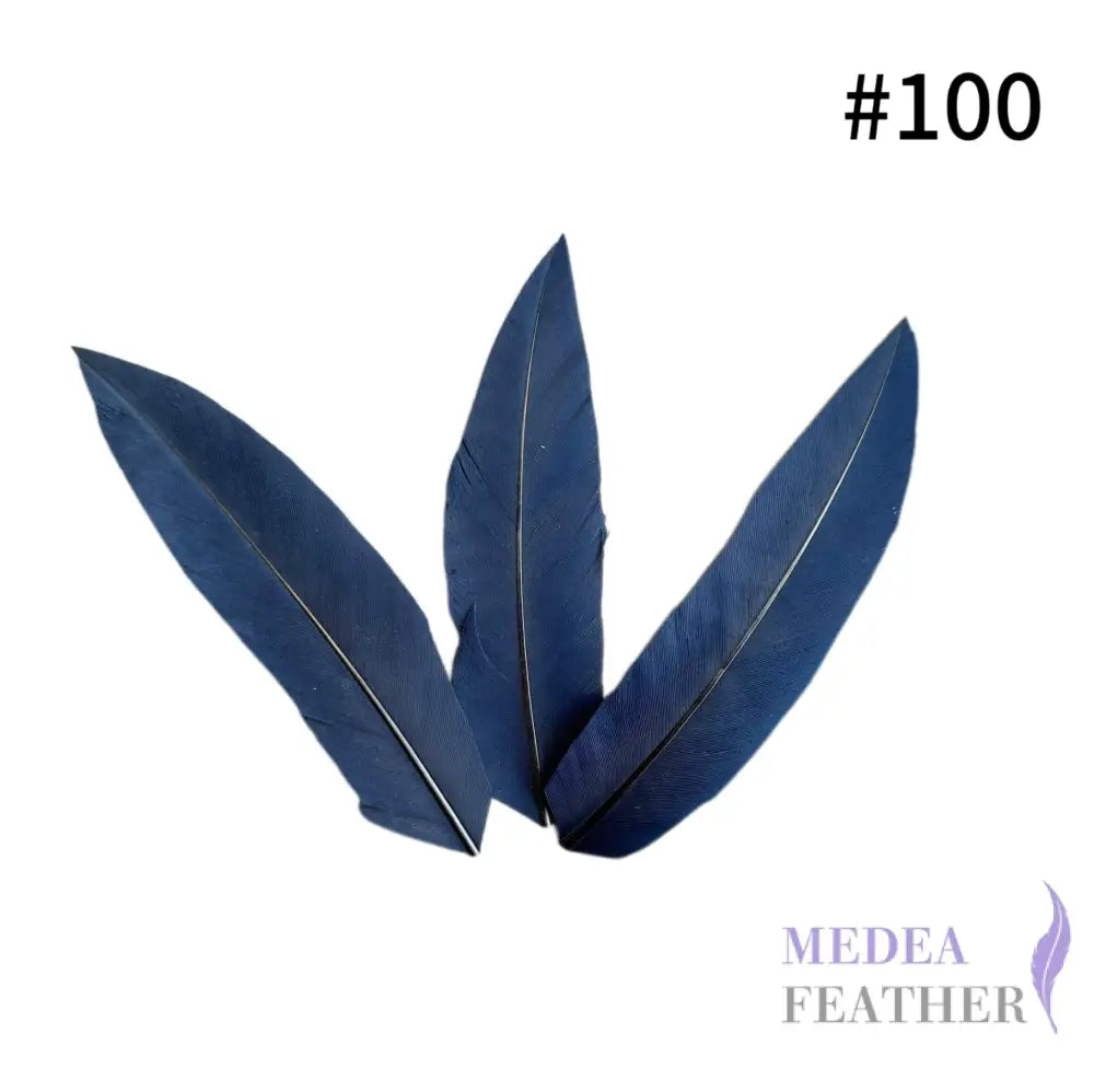 Trimmed Oval-shaped Goose Feather-Pack of 20 SFGOOSE07 - #100 Dark navy