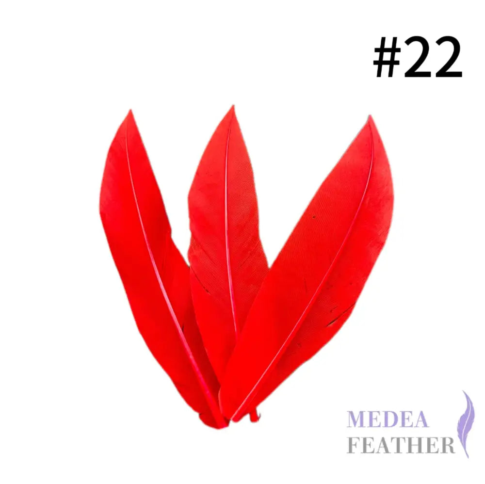 Trimmed Oval-shaped Goose Feather-Pack of 20 SFGOOSE07 - #22 red