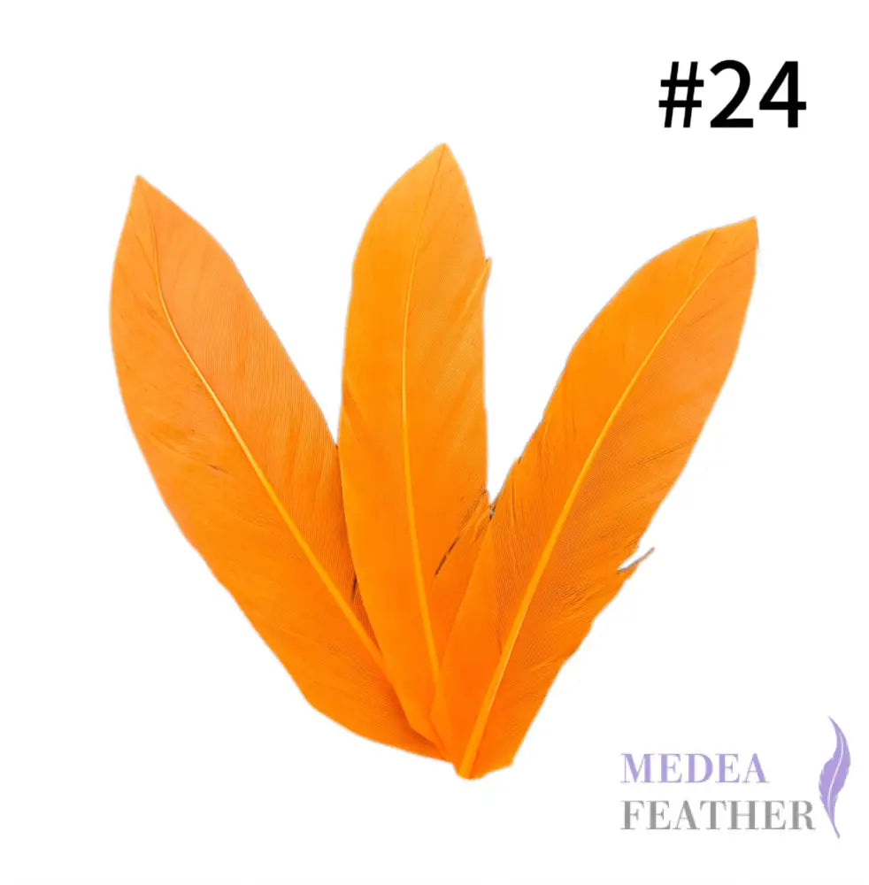 Trimmed Oval-shaped Goose Feather-Pack of 20 SFGOOSE07 - #24 carrot