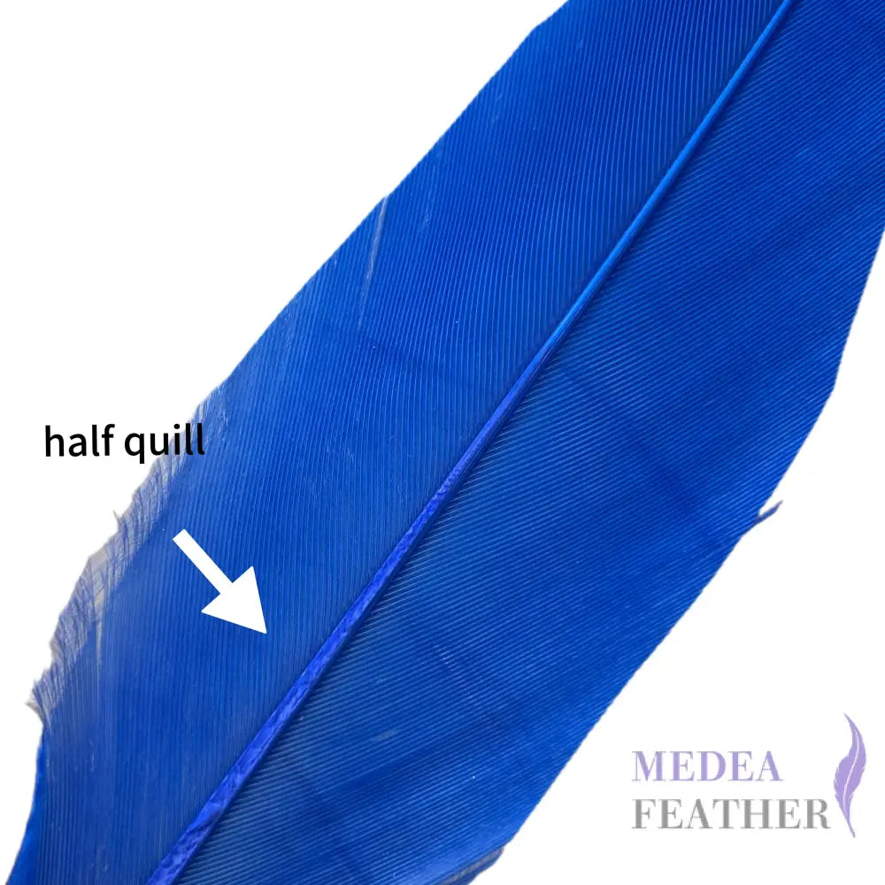Trimmed Oval-shaped Goose Feather-Pack of 20 SFGOOSE07