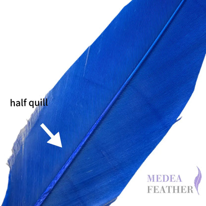 Trimmed Oval-shaped Goose Feather-Pack of 20 SFGOOSE07