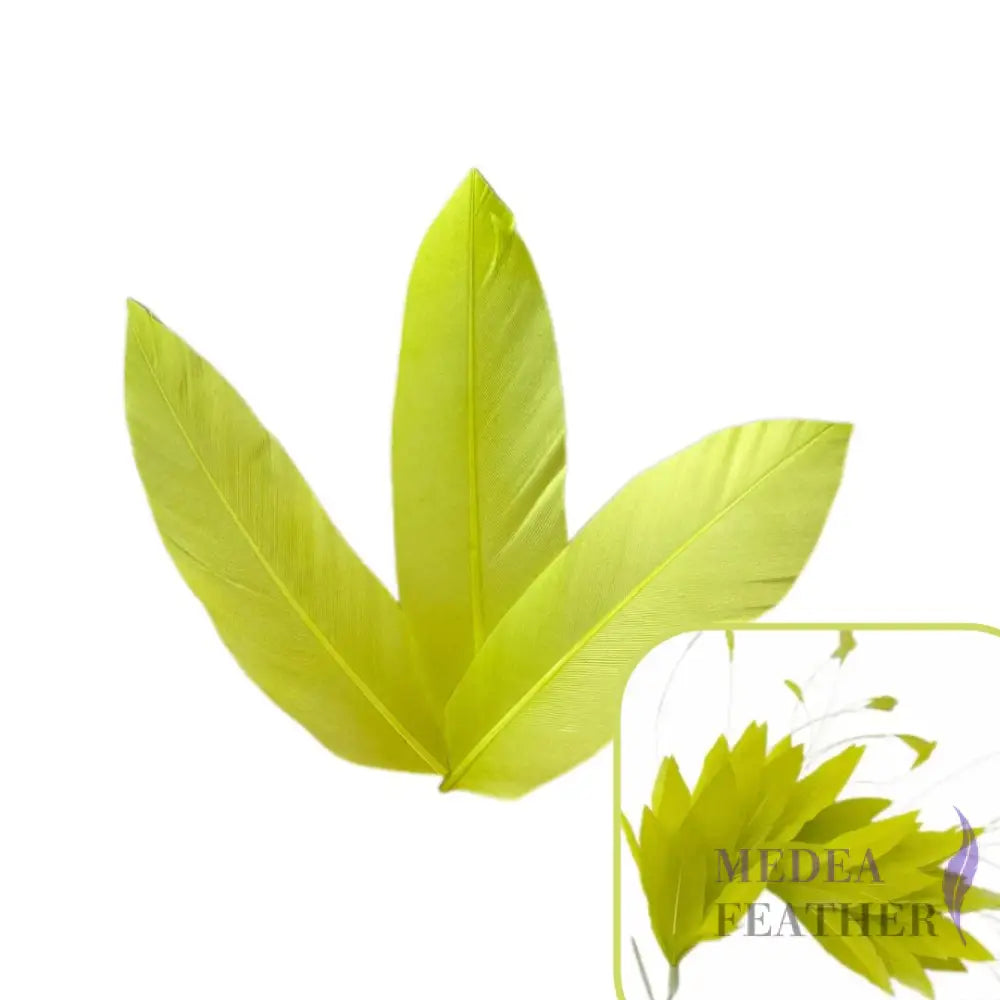 Trimmed Oval-shaped Goose Feather-Pack of 20 SFGOOSE07