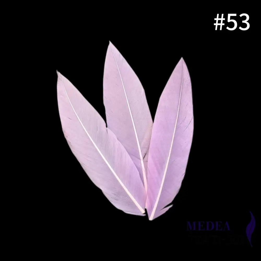 Trimmed Oval-shaped Goose Feather-Pack of 20 SFGOOSE07 - #53 lilac