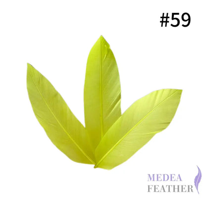 Trimmed Oval-shaped Goose Feather-Pack of 20 SFGOOSE07 - #59 wild green