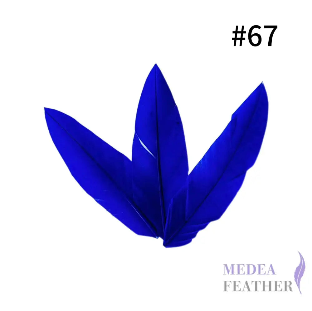 Trimmed Oval-shaped Goose Feather-Pack of 20 SFGOOSE07 - #67 royal blue