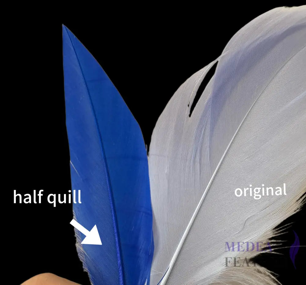 Trimmed Oval-shaped Goose Feather-Pack of 20 SFGOOSE07