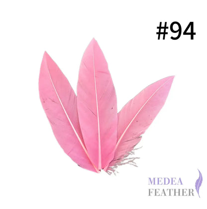 Trimmed Oval-shaped Goose Feather-Pack of 20 SFGOOSE07 - #94 begonia pink