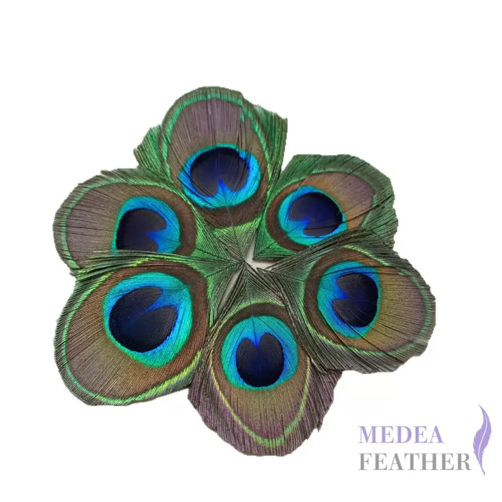 Trimmed Peacock Eye Feather-Pack of 10