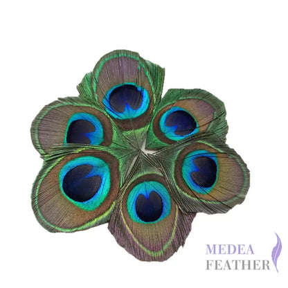 Trimmed Peacock Eye Feather-Pack of 10