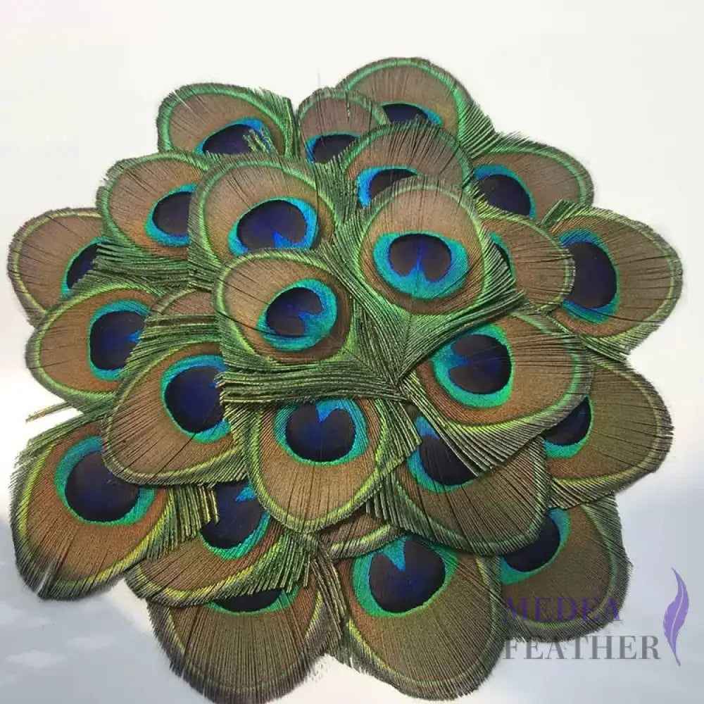 Trimmed Peacock Eye Feather-Pack of 10