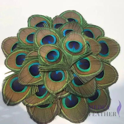 Trimmed Peacock Eye Feather-Pack of 10