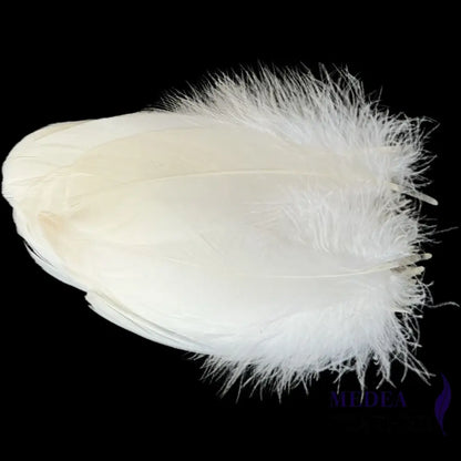 Soft Goose Feather-Pack of 50 SFGOOSE01 - #01 Ivory
