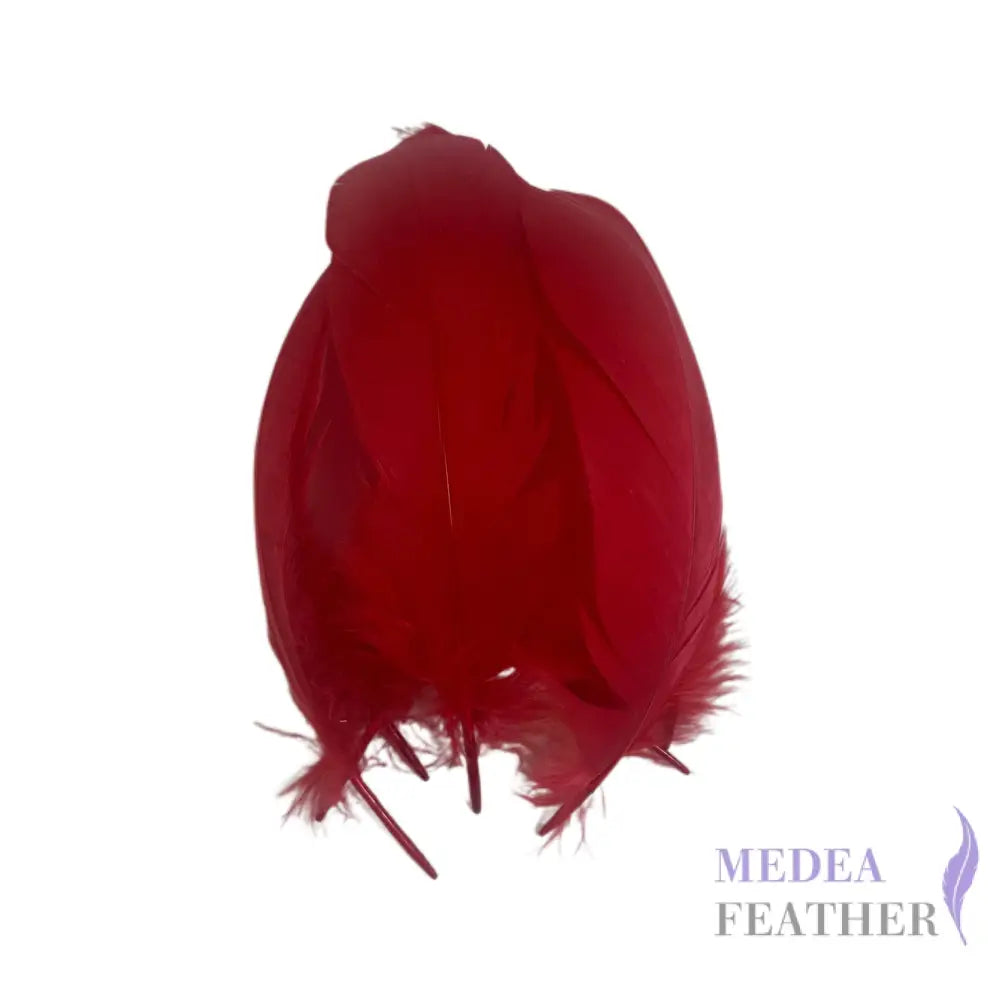 Soft Goose Feather-Pack of 50 SFGOOSE01 - #31 rose red