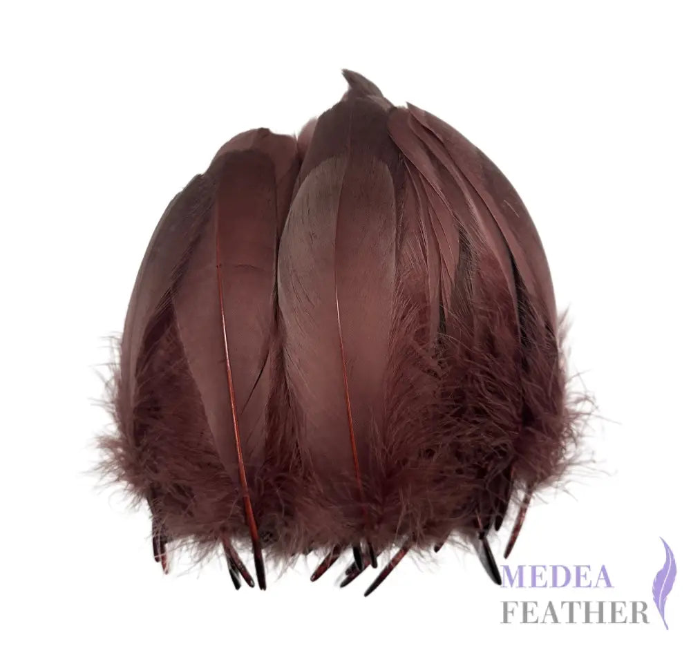 Trimmed Spiky Goose Feather-Pack of 20 SFGOOSE04 - #36 rohwurst