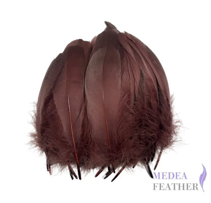 Trimmed Spiky Goose Feather-Pack of 20 SFGOOSE04 - #36 rohwurst