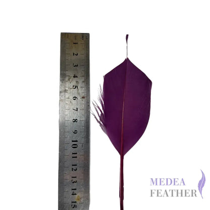 Trimmed Spiky Goose Feather-Pack of 20 SFGOOSE04