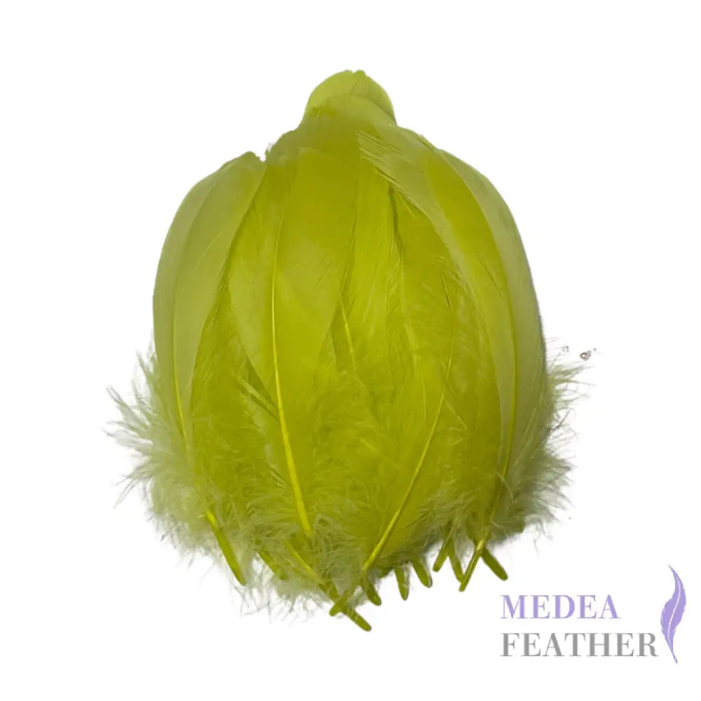 Trimmed Spiky Goose Feather-Pack of 20 SFGOOSE04 - #59 wild green