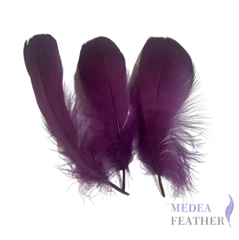 Soft Goose Feather-Pack of 50 SFGOOSE01 - #60 dark purple