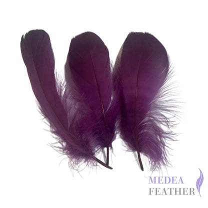 Soft Goose Feather-Pack of 50 SFGOOSE01 - #60 dark purple
