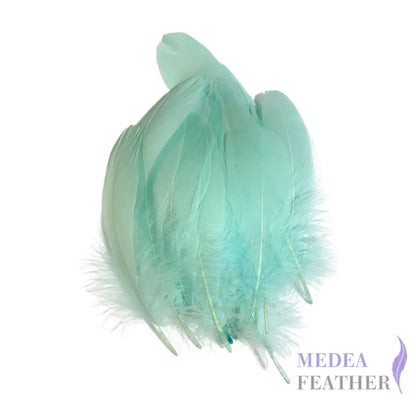 Soft Goose Feather-Pack of 50 SFGOOSE01 - #76 Aqua