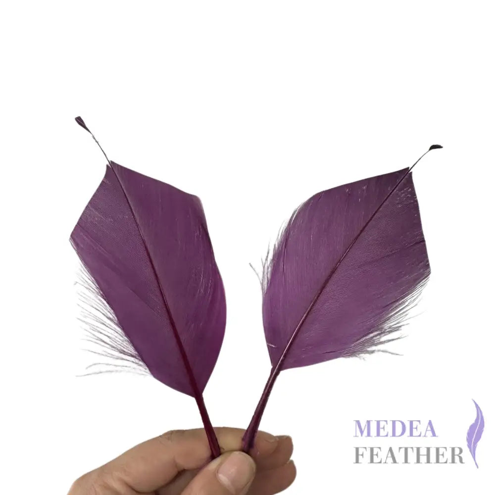 Trimmed Spiky Goose Feather-Pack of 20 SFGOOSE04