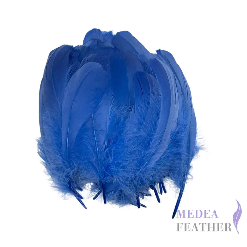 Trimmed Spiky Goose Feather-Pack of 20 SFGOOSE04 - #83 Electron Blue