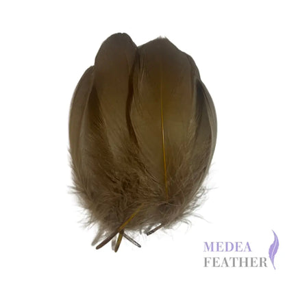 Soft Goose Feather-Pack of 50 SFGOOSE01 - #98 Olivenite