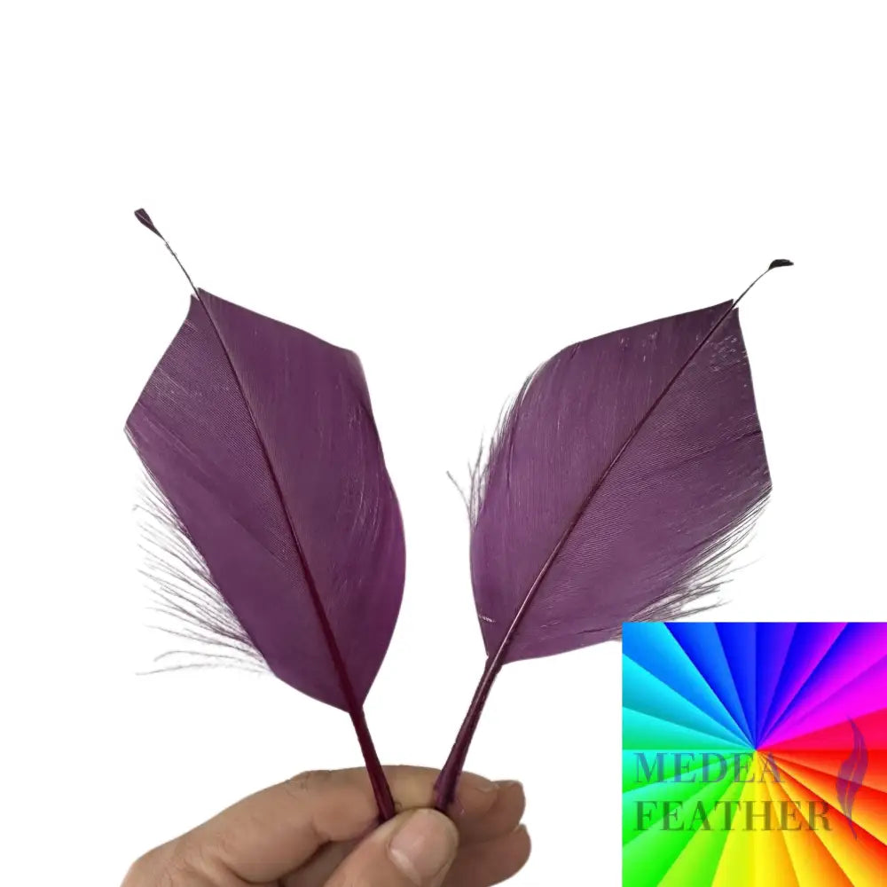 Trimmed Spiky Goose Feather-Pack of 20 SFGOOSE04 - Custom - Please add text below