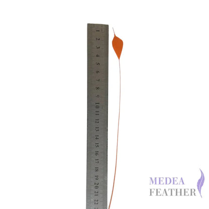 Trimmed Tips Coque Feather-Pack of 10 SFROOSTER09