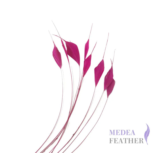 Trimmed Tips Coque Feather-Pack of 10 SFROOSTER09