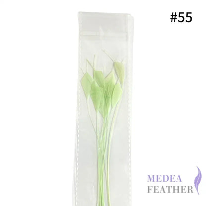 Trimmed Tips Coque Feather-Pack of 10 SFROOSTER09 - #55 mint