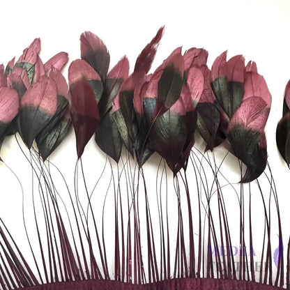 Two colour Coque Feather Trim #37 burgendy