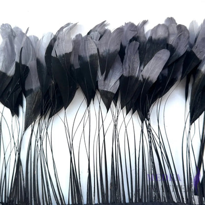 Two colour Coque Feather Trim Gray