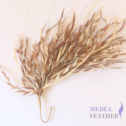 Two-colour Goose Biot Feather Flower Mount Custom - Please add text below