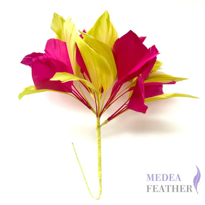 Two colour Goose Feather Mount