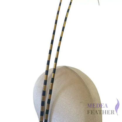 Two Tone Gold Ostrich Feather Quill SFOSTRICH03