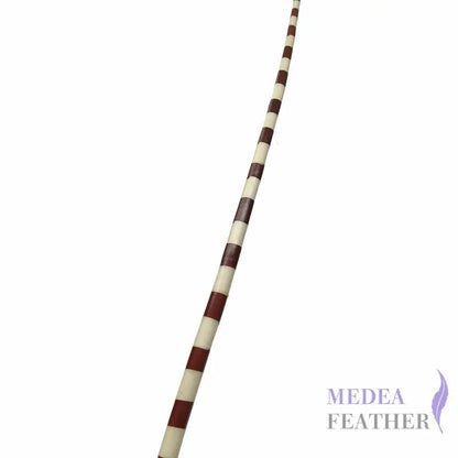 Two Tone Ostrich Feather Quill SFOSTRICH02 - #06brunette