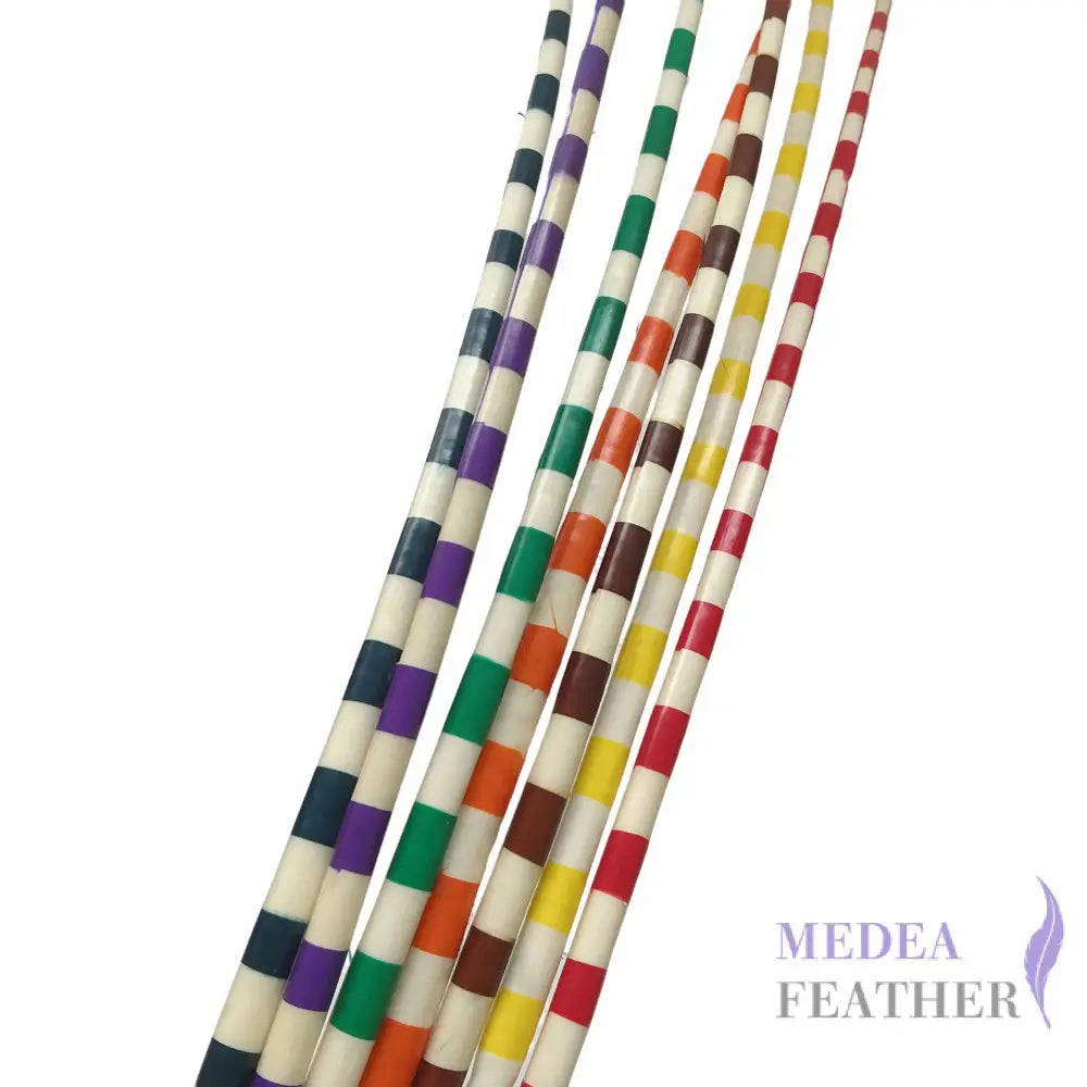 Two Tone Ostrich Feather Quill SFOSTRICH02