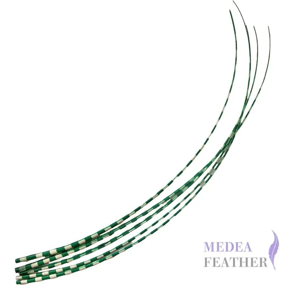 Two Tone Ostrich Feather Quill SFOSTRICH02
