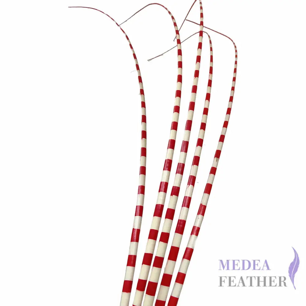 Two Tone Ostrich Feather Quill SFOSTRICH02 - #22red