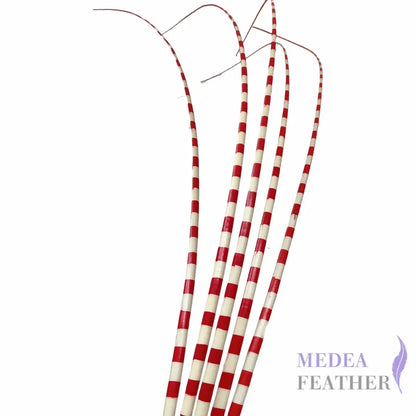 Two Tone Ostrich Feather Quill SFOSTRICH02 - #22red