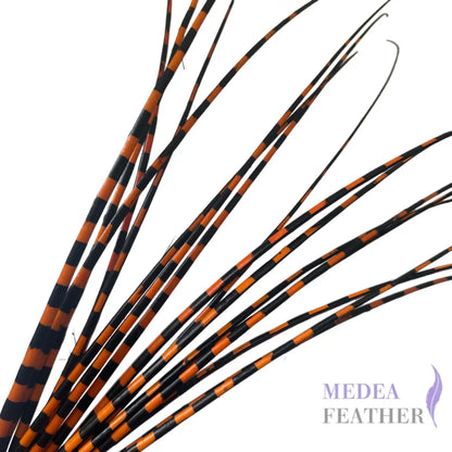 Two Tone Ostrich Feather Quill SFOSTRICH02 - #24 carrot + black base