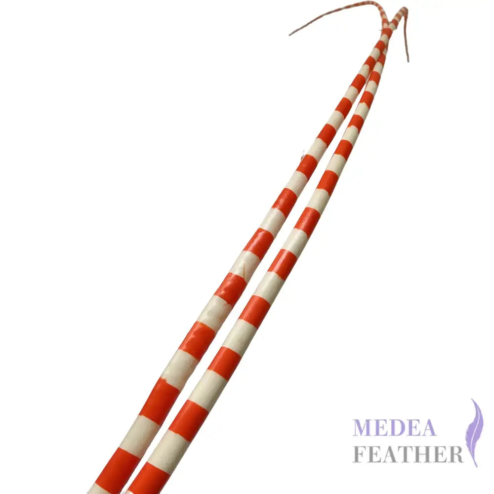 Two Tone Ostrich Feather Quill SFOSTRICH02 - #26orange