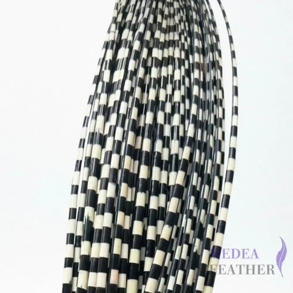 Two Tone Ostrich Feather Quill SFOSTRICH02