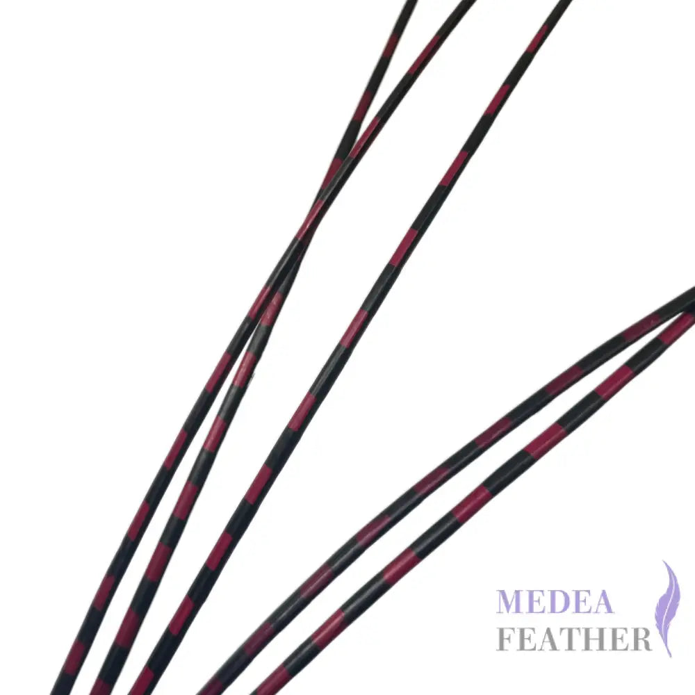 Two Tone Ostrich Feather Quill SFOSTRICH02