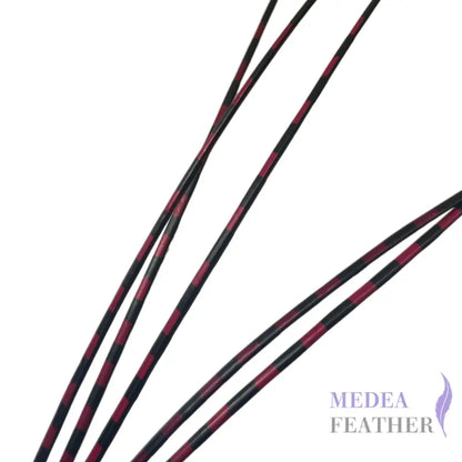 Two Tone Ostrich Feather Quill SFOSTRICH02