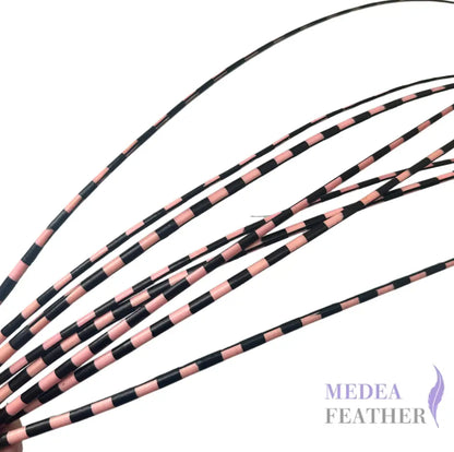 Two Tone Ostrich Feather Quill SFOSTRICH02 - #50 light pink + black base